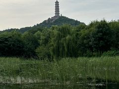 -北坞公园