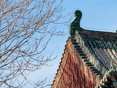 -张掖大佛寺景区