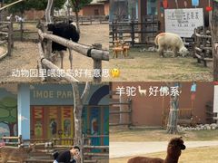 -祥源·阜阳生态乐园