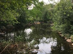-白马涧龙池景区