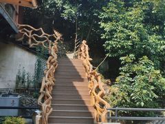 -将军关探险漂流