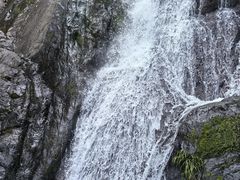 -东天目山风景区