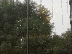 -上海吉臣维景酒店·维多利亚餐厅