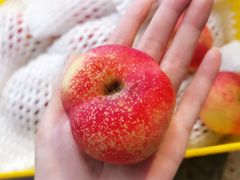 -上海龙吴水胜海发市场