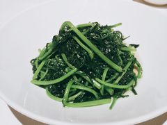 田园时蔬-广舟(千禧店)