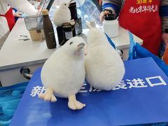 -中国农业博物馆
