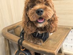 -牛串门串串香(东直门簋街总店)