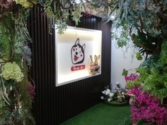 -Husky Go! 哈士奇体验馆·宠物咖啡厅狗咖