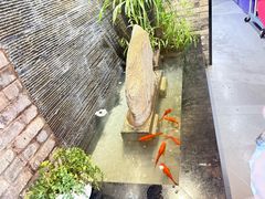 -巢湖名吃·东关老鹅汤(江南风情街店)