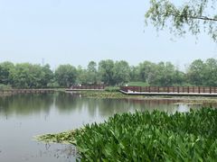 -长兴太湖图影湿地文化园