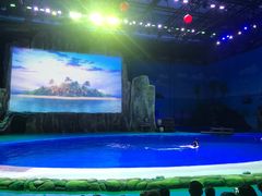 -华夏文旅海洋公园