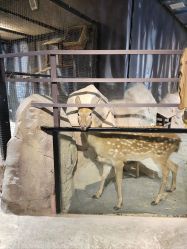 -酷嗒动物文化乐园(cutezoo西溪乐天城店)