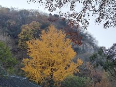 -狼山风景名胜区