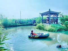 -樂桃源奉贤黄桃种植采摘基地