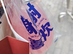 -桃花堤公园