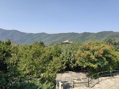 -香山公园