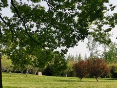 -上海共青森林公园