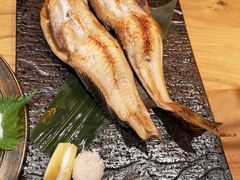 -九州酒场ひこぞう(2号店)