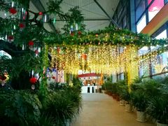 -君临七星生态酒店