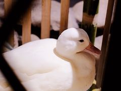 -馬蘭花開(车站大道店)