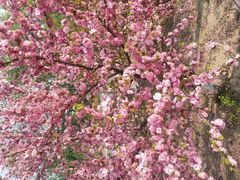 android_upload_pic-意大利农场度假村