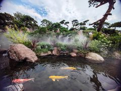 -罗红摄影艺术馆