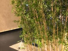 -新紫霞养生·影院足道·SPA(金山区店)