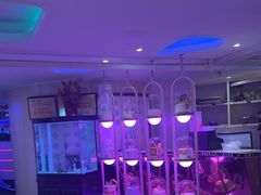 -巴特餐饮6加1音乐餐吧·新疆菜