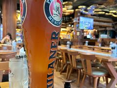 -Paulaner·德国帕拉娜自酿啤酒餐厅(海上世界店)