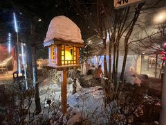 -汉拿山温泉度假酒店