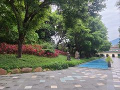 -森波拉火山温泉