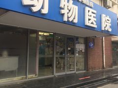 -全心全意连锁动物医院·微创中心·内科急重症·心脏专科(丰管路店)