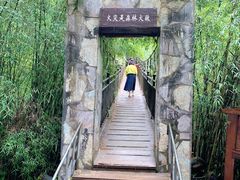 -卡定沟景区