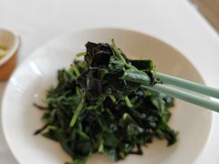 石斛叶-火璽·園