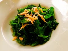 瑶柱豌豆尖-肆月河豚·新淮扬(金融街店)