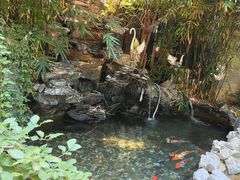 -花锦堂·隐庐