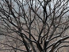 -佛慧山