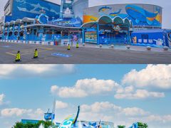 -海合安青岛极地海洋公园