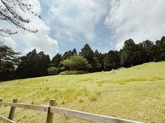 -神户市立六甲山牧场