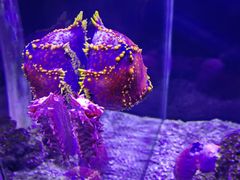 -太平洋海底世界