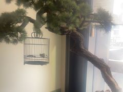 -潮上潮(南中环店)