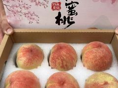 -老袁家蜜桃农场·阳山水蜜桃