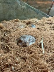 -Zoolung Zoolung动物主题公园(海信广场店)