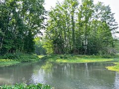 -桤木河湿地公园