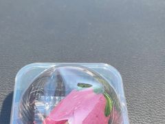 -祥禾饽饽铺·中式糕点(天津河东美福园店)