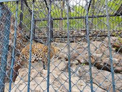 -大连森林动物园