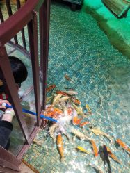 -酷嗒动物文化乐园(cutezoo西溪乐天城店)