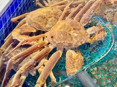 -驻海渔市(置信店)