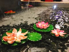 -汤泉良子(金源店)