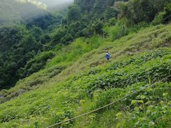 -神农溪纤夫文化旅游区